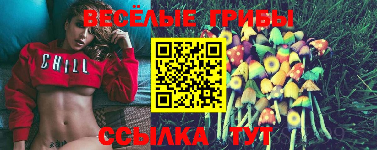 Галлюциногенные грибы Psilocybine cubensis Печора