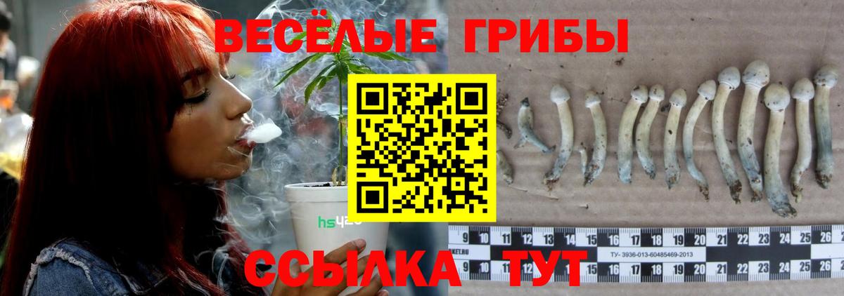 Печора  Галлюциногенные грибы Psilocybe  Вход с VPN  Псилоцибиновые грибы ЛСД 